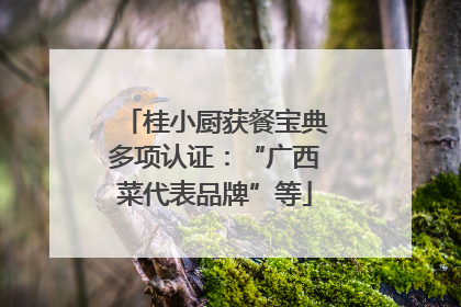 桂小厨获餐宝典多项认证：“广西菜代表品牌”等