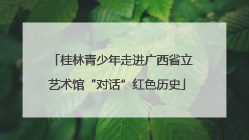 桂林青少年走进广西省立艺术馆“对话”红色历史