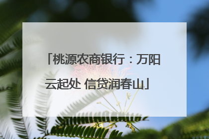 桃源农商银行：万阳云起处 信贷润春山