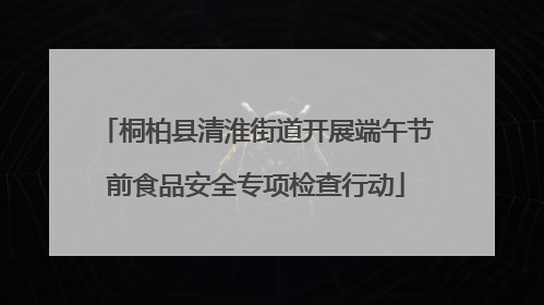 桐柏县清淮街道开展端午节前食品安全专项检查行动