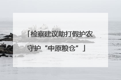 检察建议助打假护农守护“中原粮仓”
