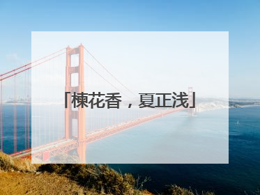 楝花香，夏正浅