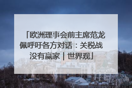 欧洲理事会前主席范龙佩呼吁各方对话：关税战没有赢家｜世界观