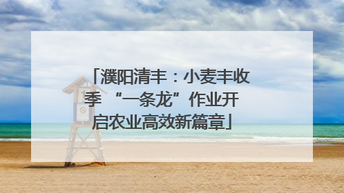 濮阳清丰：小麦丰收季 “一条龙”作业开启农业高效新篇章