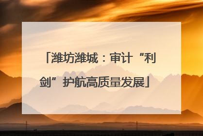 潍坊潍城：审计“利剑”护航高质量发展
