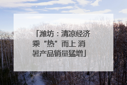 潍坊：清凉经济乘“热”而上 消暑产品销量猛增
