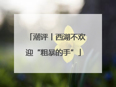 潮评丨西湖不欢迎“粗暴的手”