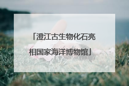 澄江古生物化石亮相国家海洋博物馆