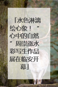 水色淋漓绘心象！“心中的自然”周崇涨水彩写生作品展在临安开幕