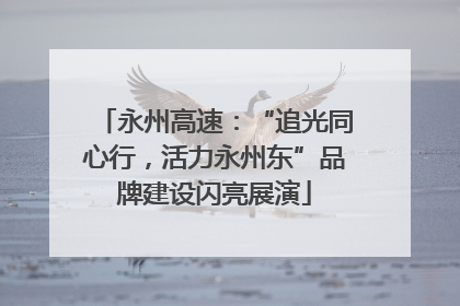 永州高速：“追光同心行，活力永州东”品牌建设闪亮展演