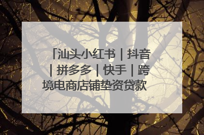 汕头小红书｜抖音｜拼多多｜快手｜跨境电商店铺垫资贷款企业-漫商易