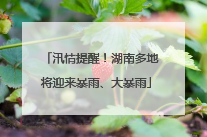 汛情提醒！湖南多地将迎来暴雨、大暴雨
