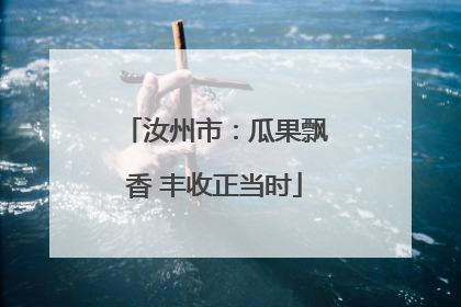 汝州市：瓜果飘香 丰收正当时