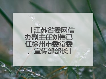 江苏省委网信办副主任刘伟已任徐州市委常委、宣传部部长