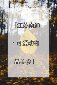 江苏南通：可爱动物品美食