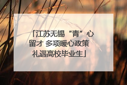 江苏无锡“青”心留才 多项暖心政策礼遇高校毕业生