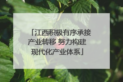 江西积极有序承接产业转移 努力构建现代化产业体系
