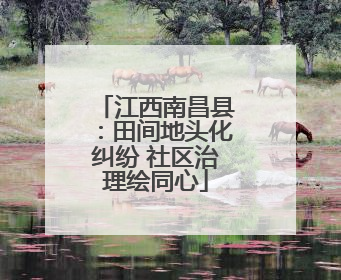 江西南昌县：田间地头化纠纷 社区治理绘同心