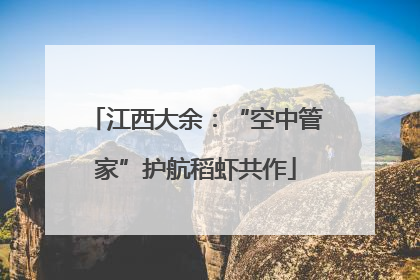 江西大余：“空中管家”护航稻虾共作