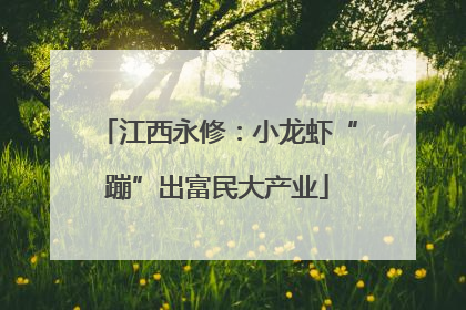 江西永修：小龙虾“蹦”出富民大产业