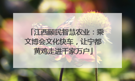 江西颐民智慧农业：乘文博会文化快车，让宁都黄鸡走进千家万户