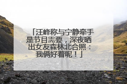 汪峰称与宁静牵手是节目需要，深夜晒出女友森林北合照：我俩好着呢！