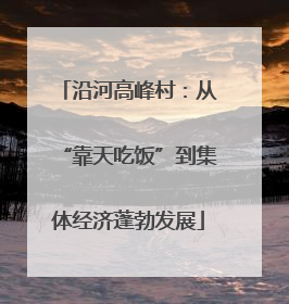 沿河高峰村：从“靠天吃饭”到集体经济蓬勃发展