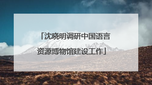 沈晓明调研中国语言资源博物馆建设工作