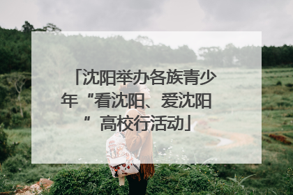 沈阳举办各族青少年“看沈阳、爱沈阳”高校行活动