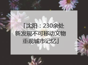 沈阳：230余处新发现不可移动文物重现城市记忆