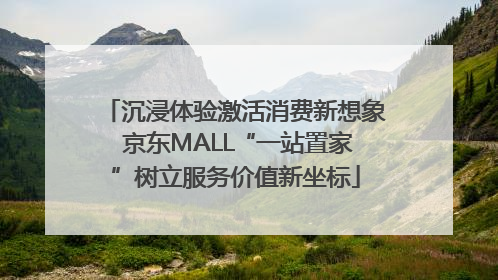 沉浸体验激活消费新想象 京东MALL“一站置家”树立服务价值新坐标