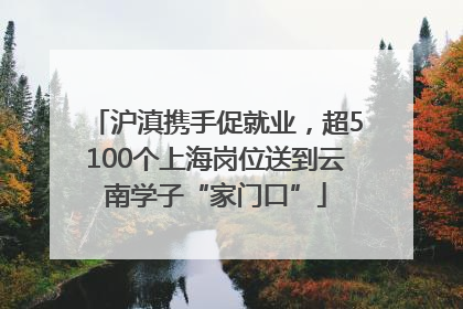 沪滇携手促就业，超5100个上海岗位送到云南学子“家门口”