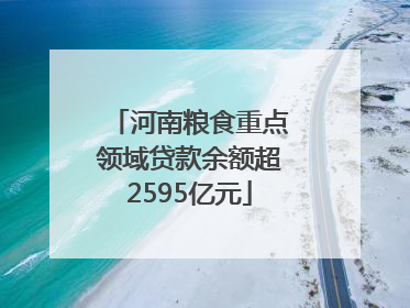 河南粮食重点领域贷款余额超2595亿元