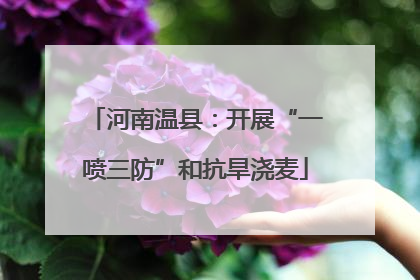 河南温县：开展“一喷三防”和抗旱浇麦