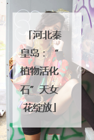 河北秦皇岛：“植物活化石”天女花绽放