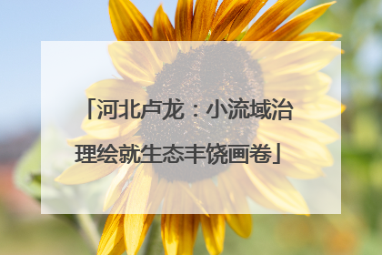 河北卢龙：小流域治理绘就生态丰饶画卷