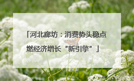 河北廊坊：消费势头稳点燃经济增长“新引擎”