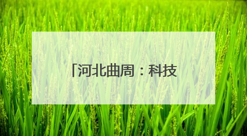 河北曲周：科技小院忙“三夏”
