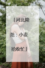 河北隆尧：小麦抢收忙
