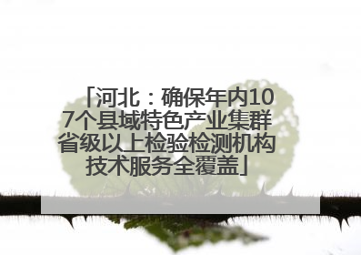 河北：确保年内107个县域特色产业集群省级以上检验检测机构技术服务全覆盖