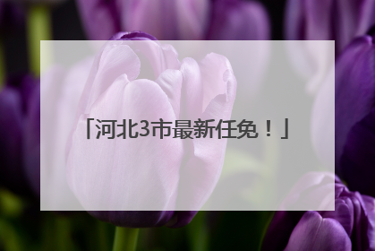 河北3市最新任免！