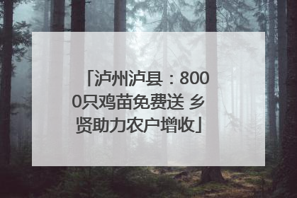 泸州泸县：8000只鸡苗免费送 乡贤助力农户增收