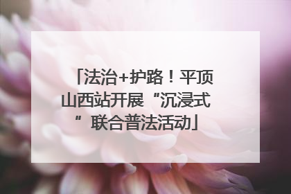 法治+护路！平顶山西站开展“沉浸式”联合普法活动