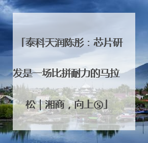 泰科天润陈彤：芯片研发是一场比拼耐力的马拉松｜湘商，向上⑤
