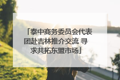 泰中商务委员会代表团赴吉林推介交流 寻求共拓东盟市场