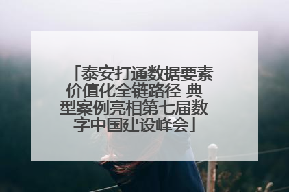 泰安打通数据要素价值化全链路径 典型案例亮相第七届数字中国建设峰会