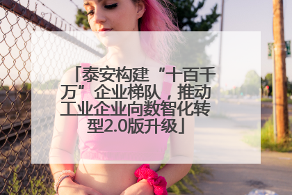 泰安构建“十百千万”企业梯队，推动工业企业向数智化转型2.0版升级