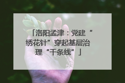洛阳孟津：党建“绣花针”穿起基层治理“千条线”