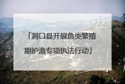 洞口县开展鱼类繁殖期护渔专项执法行动