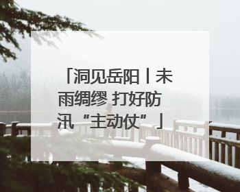 洞见岳阳丨未雨绸缪 打好防汛“主动仗”